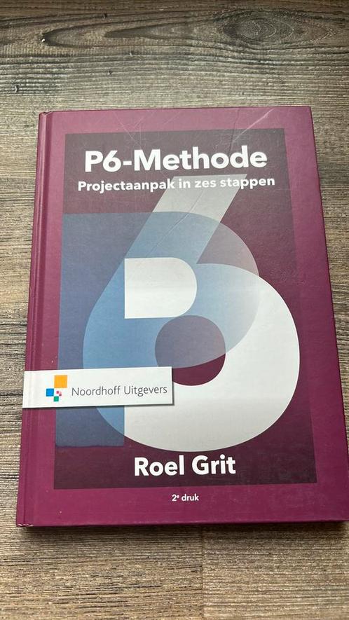 Roel Grit - Projectaanpak in zes stappen, Boeken, Wetenschap, Zo goed als nieuw, Ophalen of Verzenden
