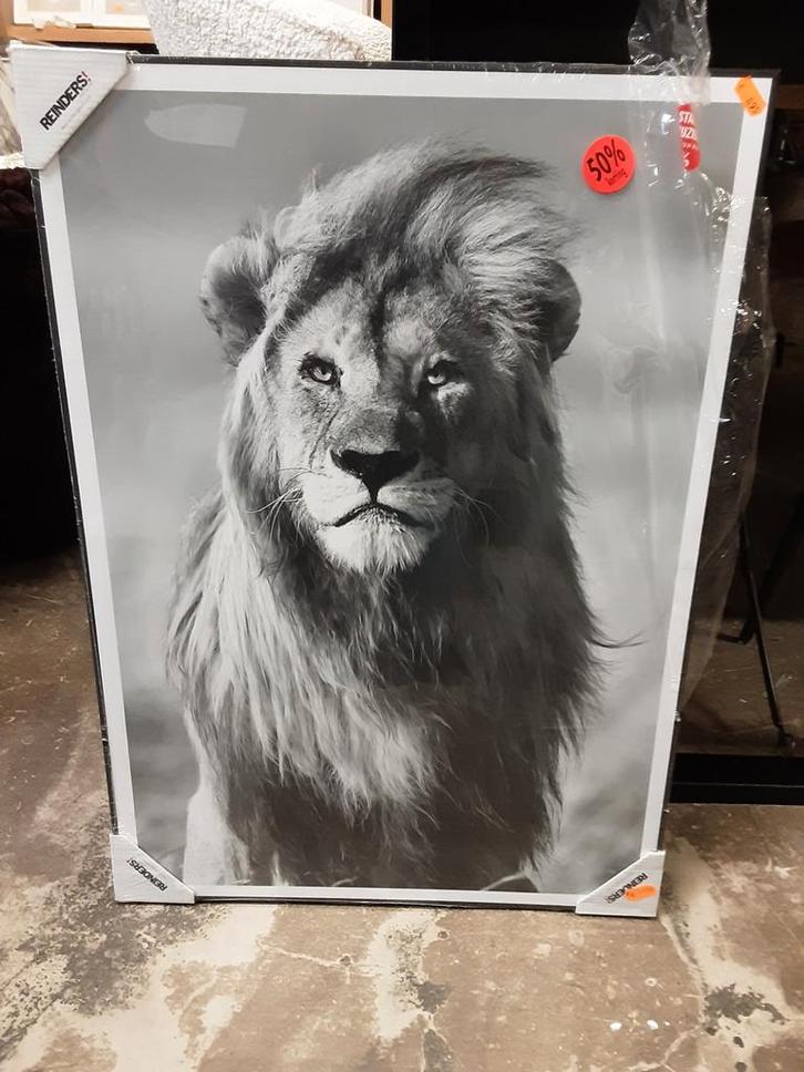 Schilderijen, Huis en Inrichting, Woonaccessoires | Schilderijen, Tekeningen en Foto's, Nieuw, Schilderij, Minder dan 50 cm, 125 cm of meer