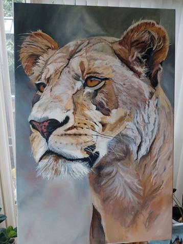 Leeuwin - Olieverf Schilderij 80x120 beschikbaar voor biedingen