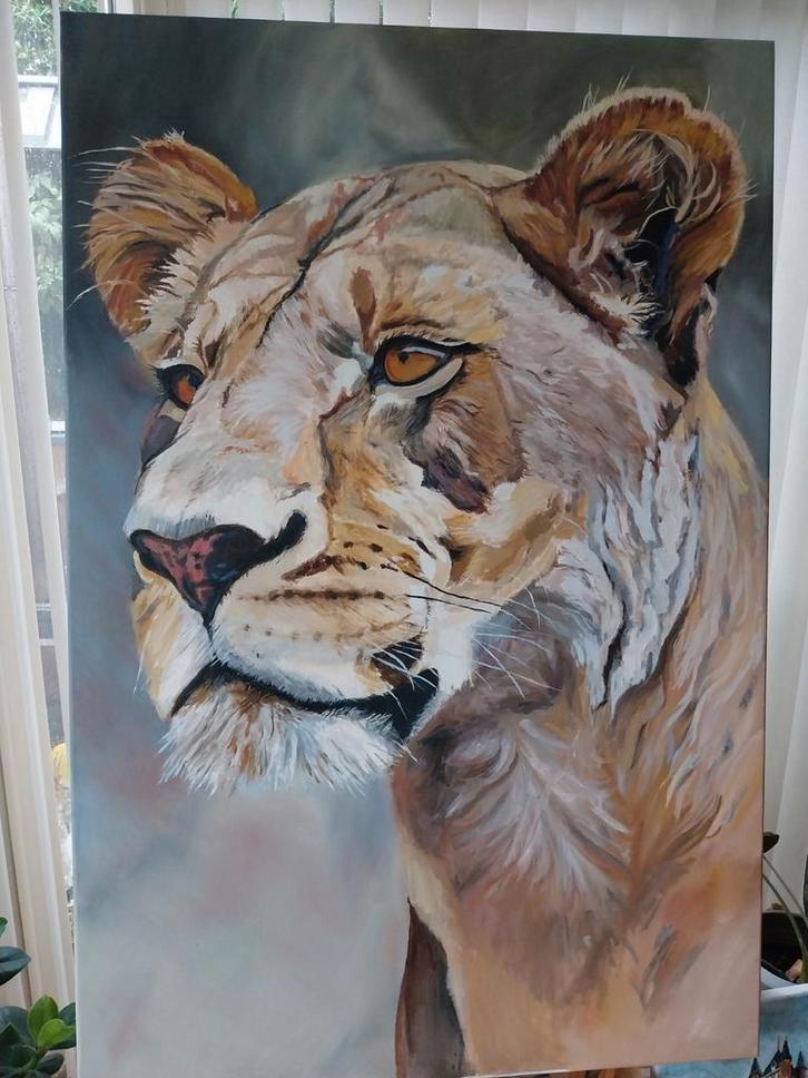Leeuwin - Olieverf Schilderij 80x120, Antiek en Kunst, Kunst | Schilderijen | Klassiek, Ophalen of Verzenden