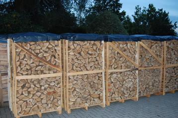 Bijna droog essen haardhout / brandhout beschikbaar voor biedingen