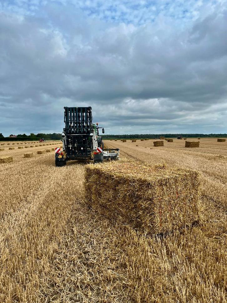 Stro bundels | Strak per 12, mooi gewicht, Dieren en Toebehoren, Dierenvoeding, Vee, Ophalen