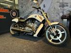 Harley-Davidson VRSCF V-Rod Muscle (bj 2017), Motoren, Motoren | Harley-Davidson, Bedrijf, Overig