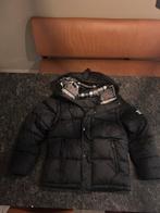 Burberry Puffer Jas, Maat 52/54 (L), Zwart, Nieuw, Ophalen of Verzenden