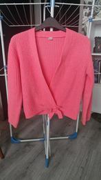 Leuk vestje van de Zeeman - Maat 134, Kleding | Dames, Huispakken, Zeeman, Ophalen of Verzenden, Zo goed als nieuw, Roze