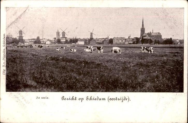 Schiedam (Oostzijde)molens uitg. J. v. Diggelen vóór 1906, Verzamelen, Ansichtkaarten | Nederland, Ongelopen, Zuid-Holland, Voor 1920