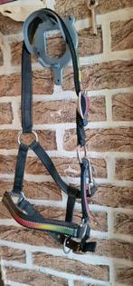 Halster voor veulen of pony, Ophalen, Zo goed als nieuw, Overige soorten