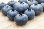 Blauwe bessen pakket 4 planten voor 12,50, Ophalen of Verzenden, Zo goed als nieuw