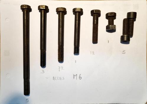 Bouten, Doe-het-zelf en Verbouw, IJzerwaren en Bevestigingsmiddelen, Nieuw, Schroeven, Minder dan 50 mm, Ophalen