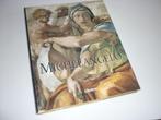 (Librero) Charles Sala: Michelangelo, Ophalen of Verzenden, Zo goed als nieuw, Schilder- en Tekenkunst