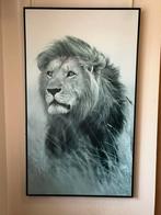 Grote lijst met leeuw!!!, Antiek en Kunst, Ophalen of Verzenden