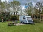 Kip greyline, Caravans en Kamperen, Particulier, Rondzit, Kip