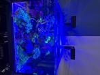 Aquarium reefer 300  G2 zout water incl vissen et, Dieren en Toebehoren, Vissen | Aquaria en Toebehoren, Ophalen, Zo goed als nieuw