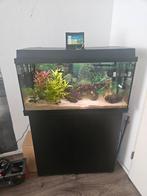 Juwel 110 liter met kast en toebehoren, Dieren en Toebehoren, Ophalen of Verzenden, Zo goed als nieuw