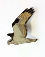 Visarend, cloisonné emaille broche, pin, Ophalen, Zo goed als nieuw, Minder dan 4 cm, Overige materialen