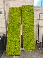 2x grote mospanelen, Huis en Inrichting, Woonaccessoires | Wanddecoraties, Ophalen, Zo goed als nieuw, X, X