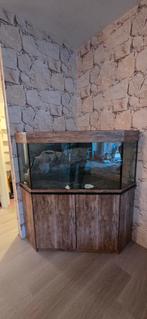 Juwel Delta 350, Dieren en Toebehoren, Ophalen, Leeg aquarium