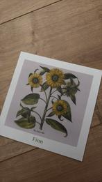 Finn, Ophalen of Verzenden, 2000 tot heden