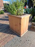 Douglas bloembakken, Tuin en Terras, Bloembakken en Plantenbakken, Vierkant, Nieuw, Hout, Tuin