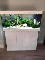 Juwel Rio180  compleet &origineel in nette staat, Dieren en Toebehoren, Vissen | Aquaria en Toebehoren, Ophalen of Verzenden, Gebruikt