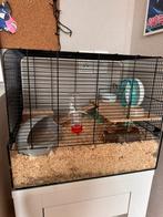 Hamster terrarium/kooi/bak, Dieren en Toebehoren, Kooi, Minder dan 75 cm, Zo goed als nieuw, Hamster