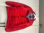 Cavallaro zomerjas – rood, real down, Maat 48/50 (M), Ophalen of Verzenden, Zo goed als nieuw, Rood