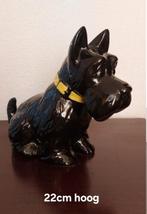 2 Schotse Terriers, Ophalen of Verzenden, Gebruikt, Dier