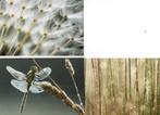 Natuurkunst 3 ansichtkaarten postfris, Verzenden, Ongelopen, Overige soorten