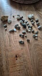 Fossielen verzameling, Verzamelen, Mineralen en Fossielen, Ophalen of Verzenden, Fossiel