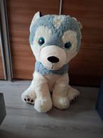 Hond ongeveer 80 cm groot nieuw, Kinderen en Baby's, Ophalen of Verzenden, Nieuw, Hond