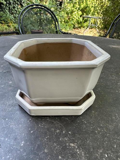 Acht hoekige bonsaipot met schaaltje, Tuin en Terras, Bloempotten, Zo goed als nieuw, Aardewerk, Binnen, Balkon, Tuin, Minder dan 40 cm