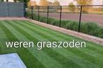 Graszoden, grasmatten, zoden, gazonzoden, gras, bezorgen, Ophalen of Verzenden