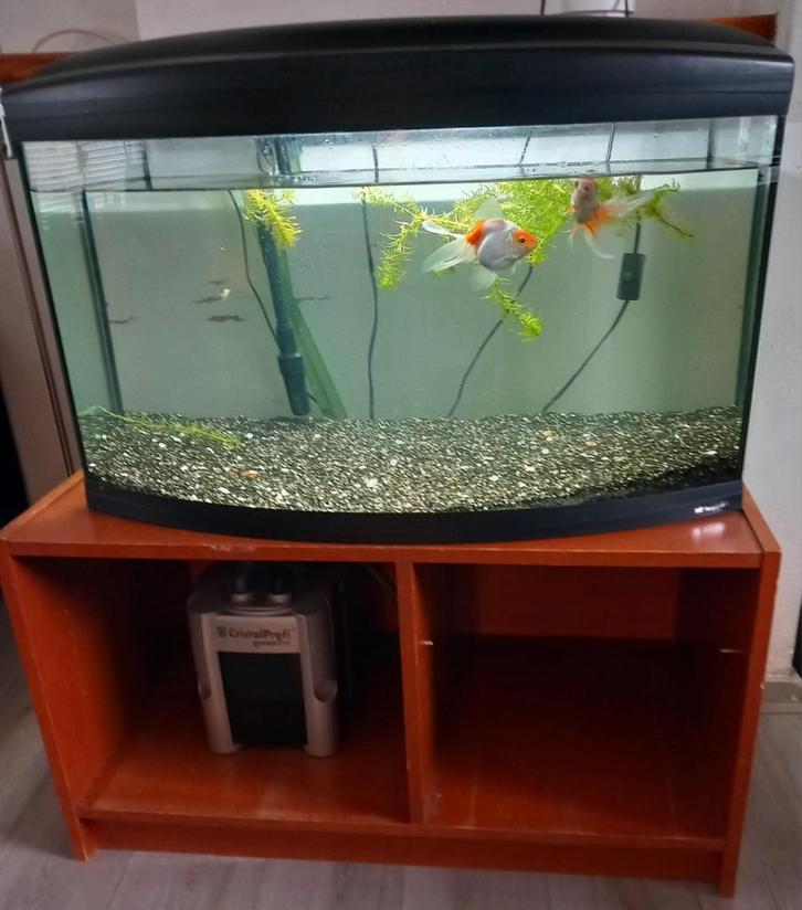 Aquarium met filterpomp, Dieren en Toebehoren, Vissen | Aquaria en Toebehoren, Gebruikt, Leeg aquarium, Ophalen