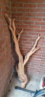 Groot Ghost Wood Tak - Decoratie, Huis en Inrichting, Ophalen, Zo goed als nieuw
