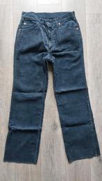 Vintage 80s Levis corduroy velours straight leg 38, Maat 38/40 (M), Blauw, Ophalen of Verzenden, Gedragen