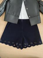 Maje Fluwelen Winter Short - Maat 40 (M), Maat 38/40 (M), Kort, Blauw, Ophalen of Verzenden