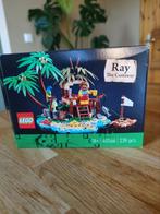 LEGO Ideas 40566 Ray the Castaway, Kinderen en Baby's, Speelgoed | Duplo en Lego, Ophalen of Verzenden, Zo goed als nieuw, Complete set