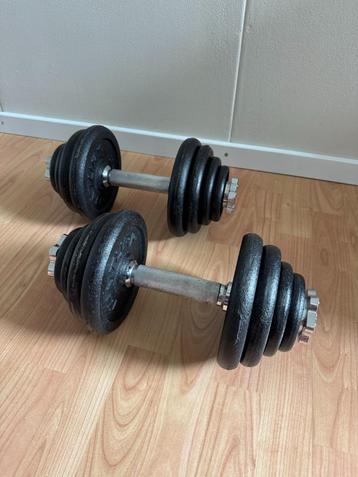 Tunturi Dumbbellset 2x 15 kg beschikbaar voor biedingen