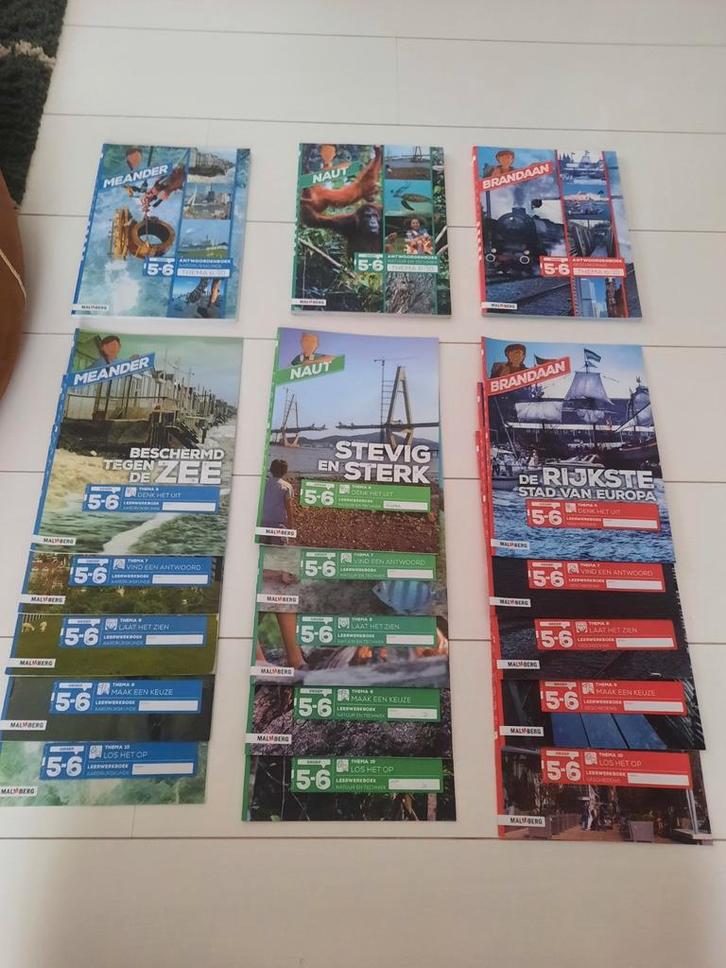Naut Meander Brandaan groep 6 thema 6/10 werk+antwoordenboek, Boeken, Schoolboeken, Zo goed als nieuw, Overige niveaus, Ophalen of Verzenden
