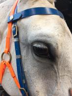 Verzorgpaard aangeboden, bijrijder gezocht