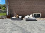 Nieuw kleinschalig logeeradres voor uw hond, Diensten en Vakmensen, Dieren | Honden | Verzorging, Oppas en Les, Particuliere oppas