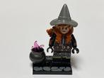 Lego Dungeons & Dragons Minifiguur coldnd-12 Tasha the Witch