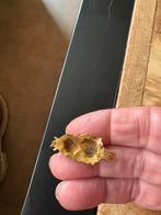 14 karaats Gouden mutsenbel, Antiek en Kunst, Antiek | Goud en Zilver, Ophalen of Verzenden, Goud