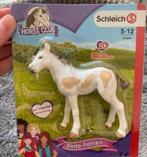 Schleich Pinto Veulen Prinz ~ Horse Club 83041, Ophalen of Verzenden, Zo goed als nieuw, Paard, Beeldje of Figuurtje