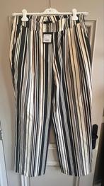 Claudia Sträter Gestreepte Broek Mt 42 Nieuw, Maat 42/44 (L), Nieuw, Ophalen of Verzenden, Claudia Sträter