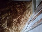 Luxe vloerkleed groot, Ophalen, Bruin, 200 cm of meer, Zo goed als nieuw