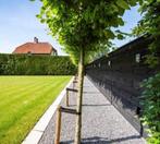 Zweeds Rabat | Vuren | Potdeksel | Rabat | Rabatdelen, Ophalen, Nieuw, 180 tot 250 cm, Planken