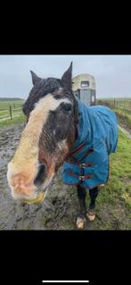 Weatherbeeta Comfitec Heavy 300 gram 5’3/160/115, Dieren en Toebehoren, Ophalen of Verzenden, Gebruikt, Deken