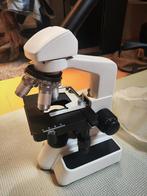 Bresser Erudit 40-600 X microscoop, Audio, Tv en Foto, Optische apparatuur | Microscopen, Ophalen, Nieuw, 400x tot 1000x, Biologische microscoop