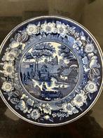 Petrus Regout &co Maastricht Delftsblauw bord Wild Rose 23cm, Antiek en Kunst, Ophalen of Verzenden
